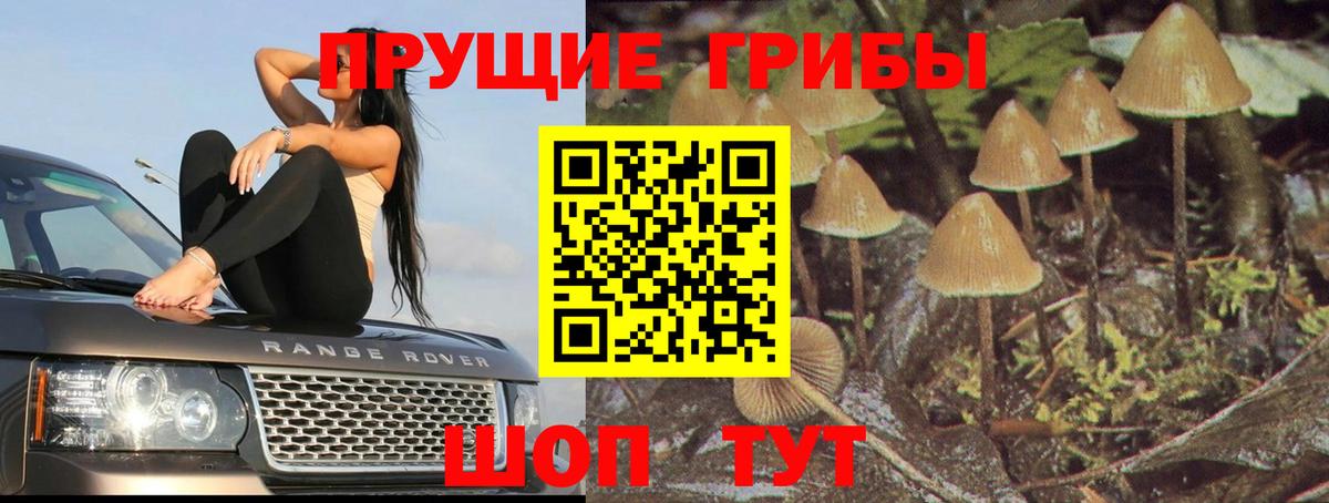 Псилоцибиновые грибы GOLDEN TEACHER Ревда